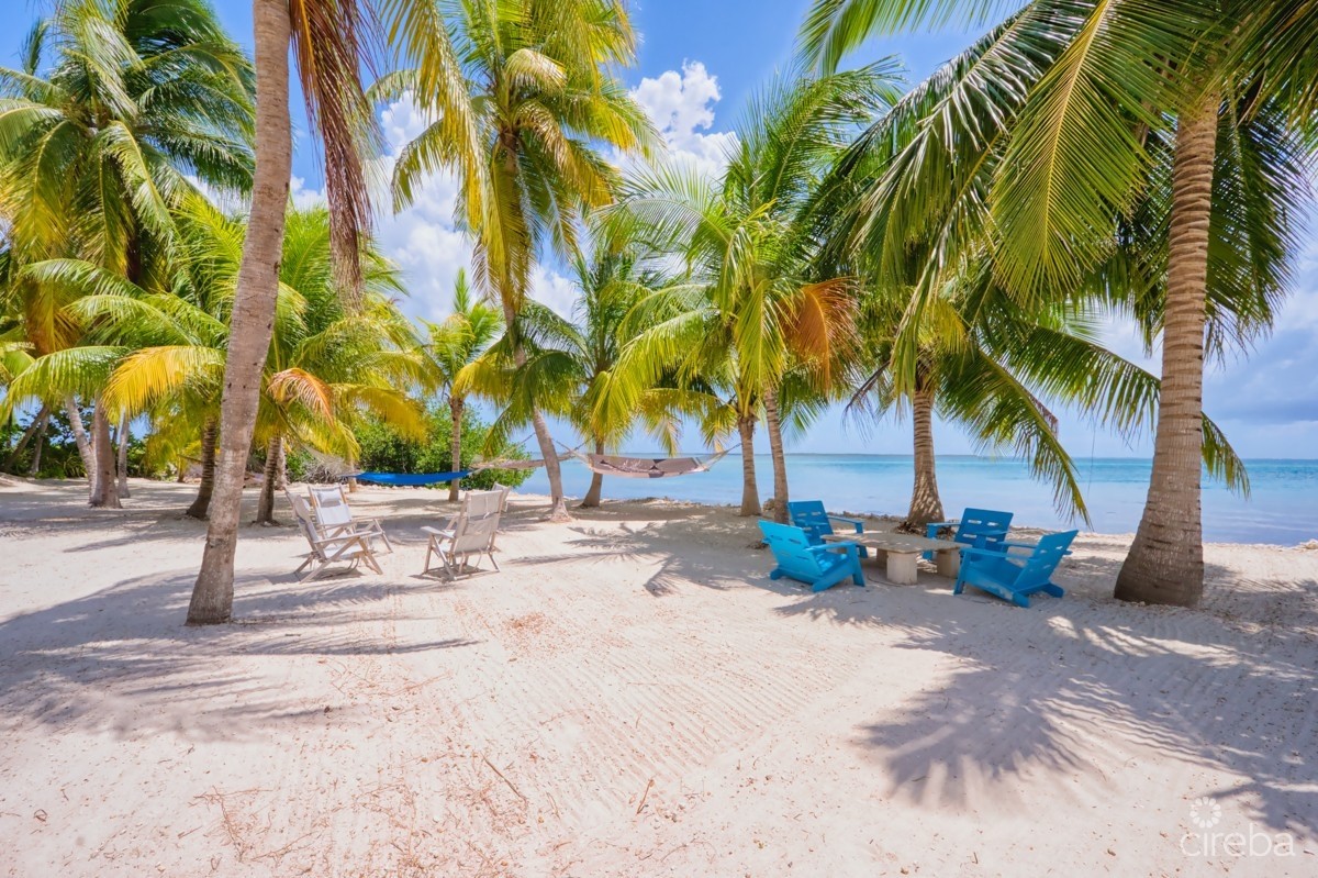 KAI ROSE, CAYMAN KAI ESTATE KAI ROSE, CAYMAN KAI ESTATE
