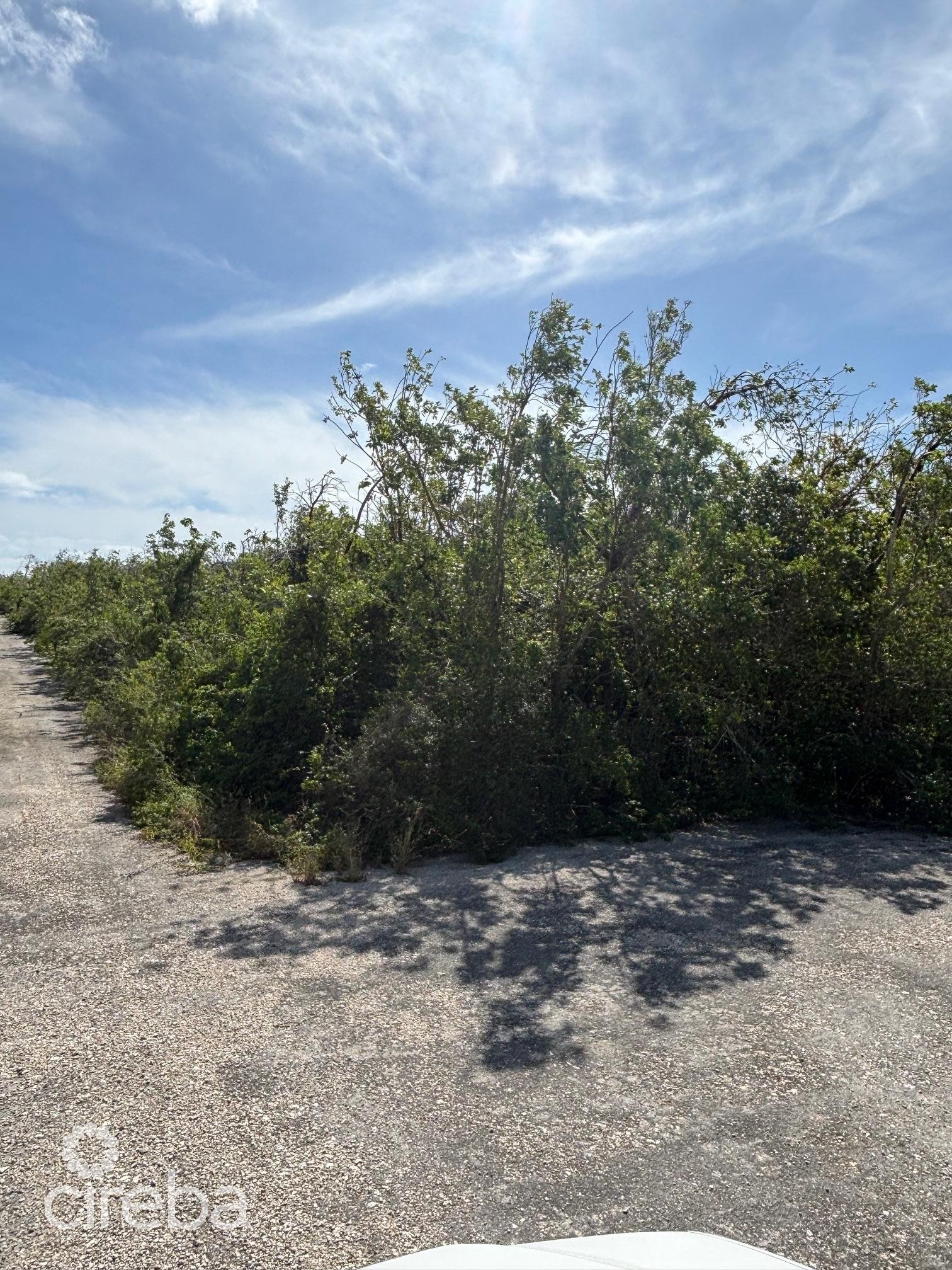 LITTLE CAYMAN EAST 0.3017 ACRES