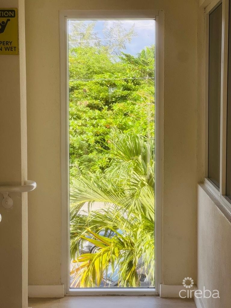 PALM GROVE PALM GROVE