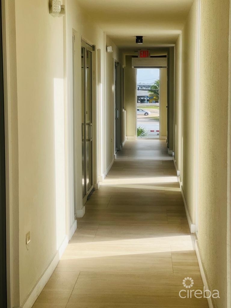 PALM GROVE PALM GROVE