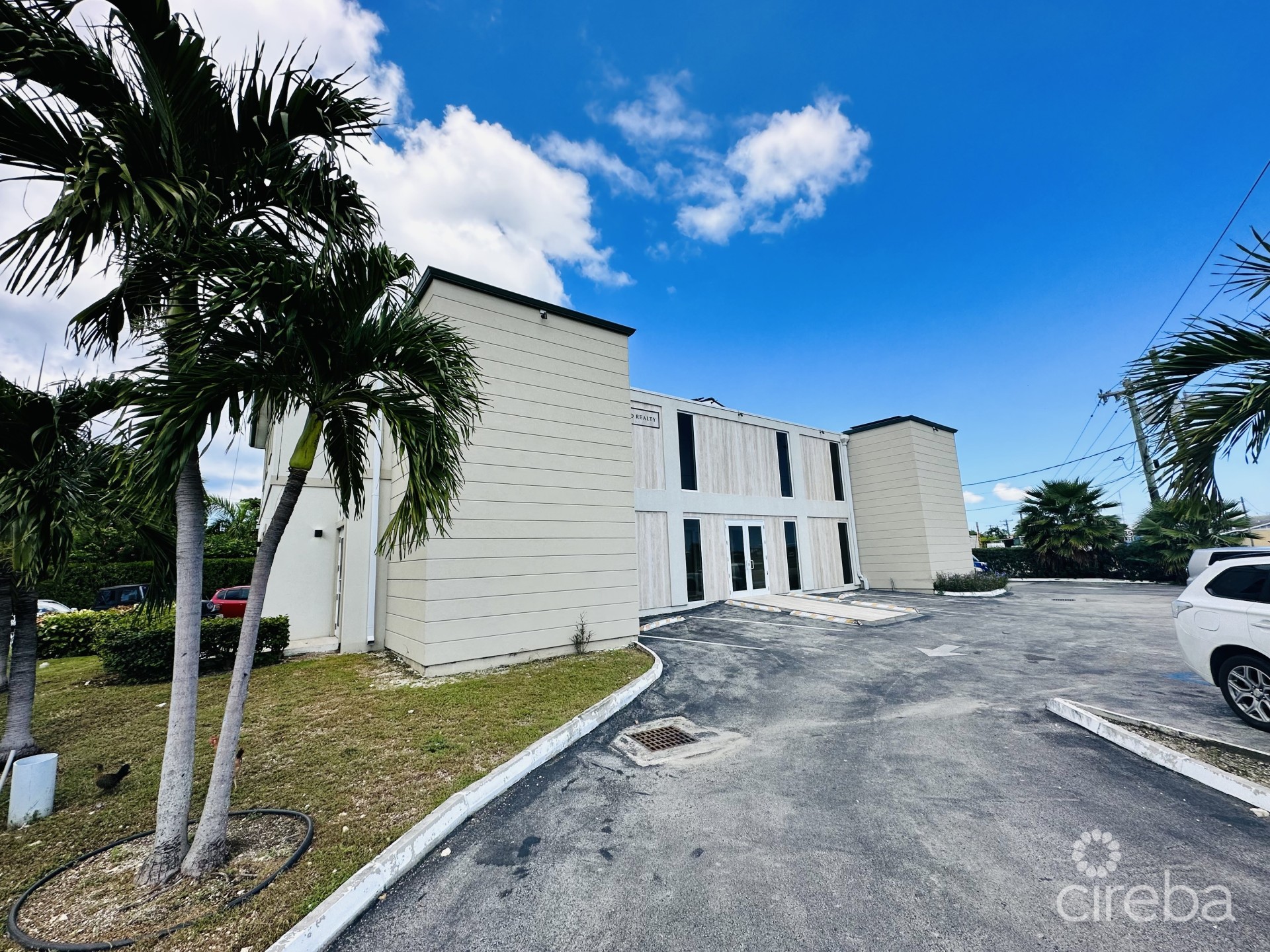 PALM GROVE PALM GROVE