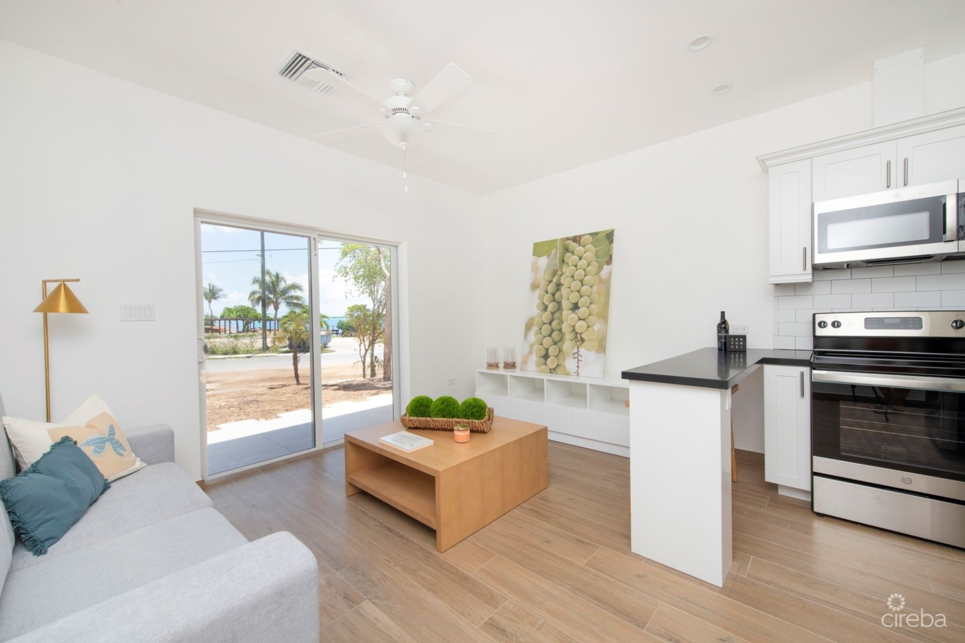 SEA MIST CONDOS  UNIT102 - DEVELOPER FINANCING SEA MIST CONDOS  UNIT102 - DEVELOPER FINANCING