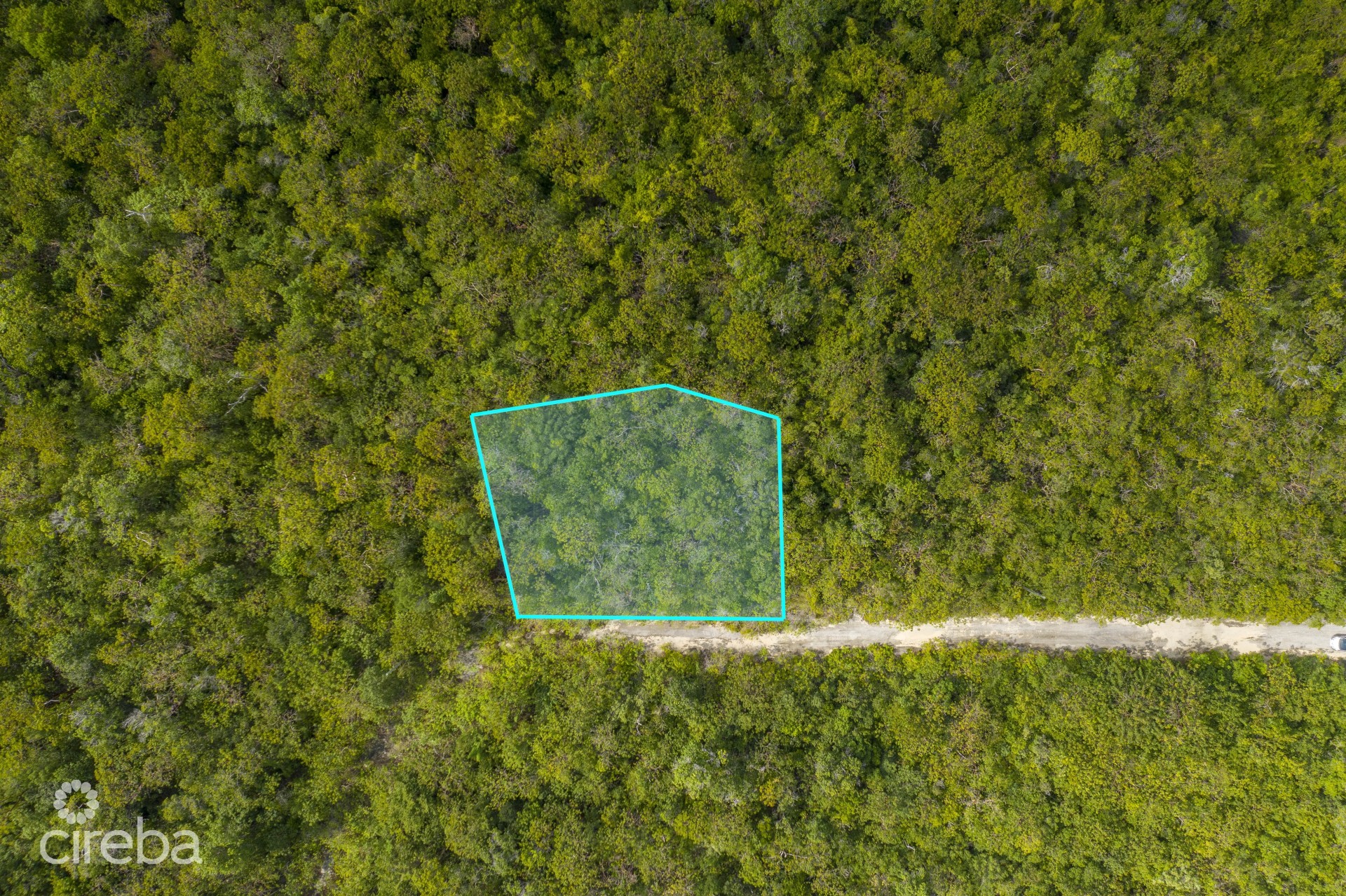 CAYMAN BRAC LAND 230