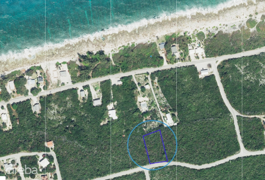 CAYMAN BRAC BLUFF LOT WITH FANTASTIC VIEWS