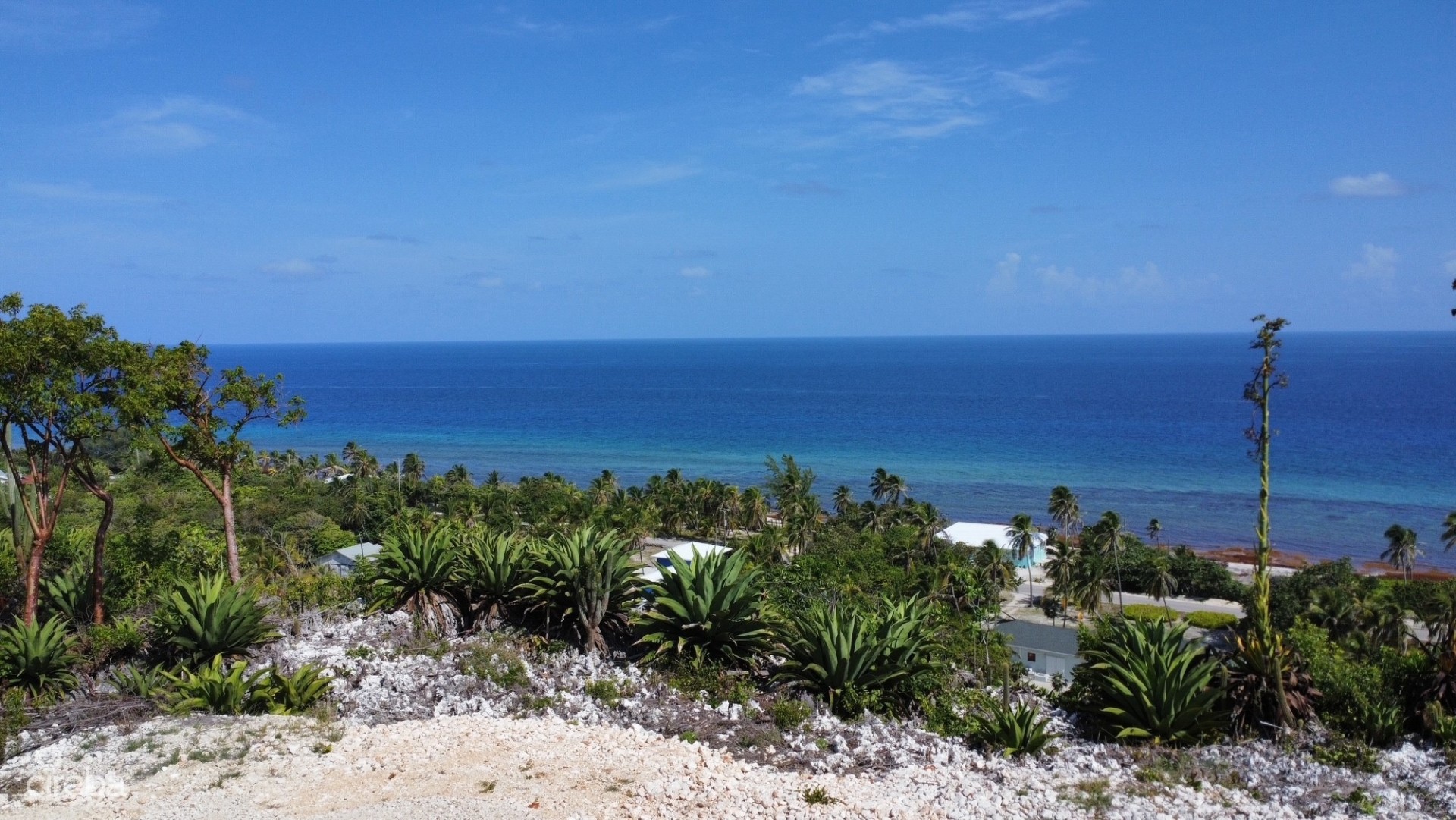 BLUFF LAND - CAYMAN BRAC EAST - LOT #6 BLUFF LAND - CAYMAN BRAC EAST - LOT #6