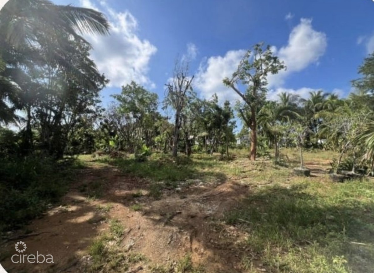 DEVELOPMENT OPPORTUNITY - HIGH & DRY LOT IN NORTHWARD -  .53 ACRES DEVELOPMENT OPPORTUNITY - HIGH & DRY LOT IN NORTHWARD -  .53 ACRES