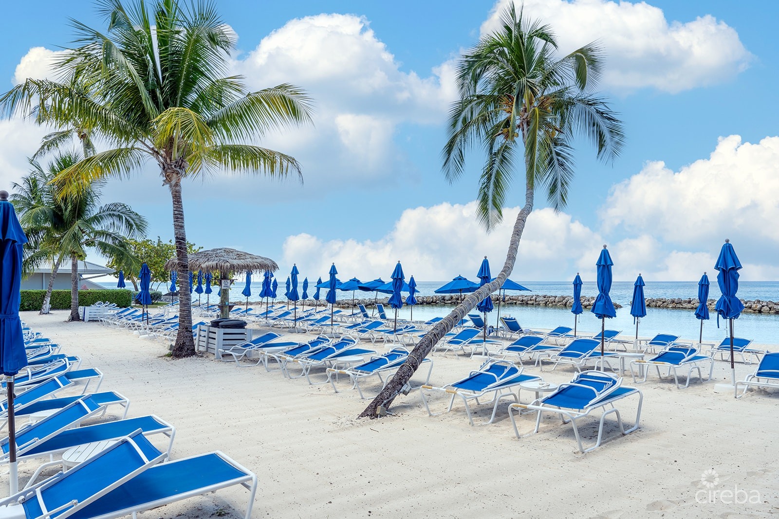 SUNSET COVE  - PENTHOUSE - CORNER UNIT SUNSET COVE  - PENTHOUSE - CORNER UNIT