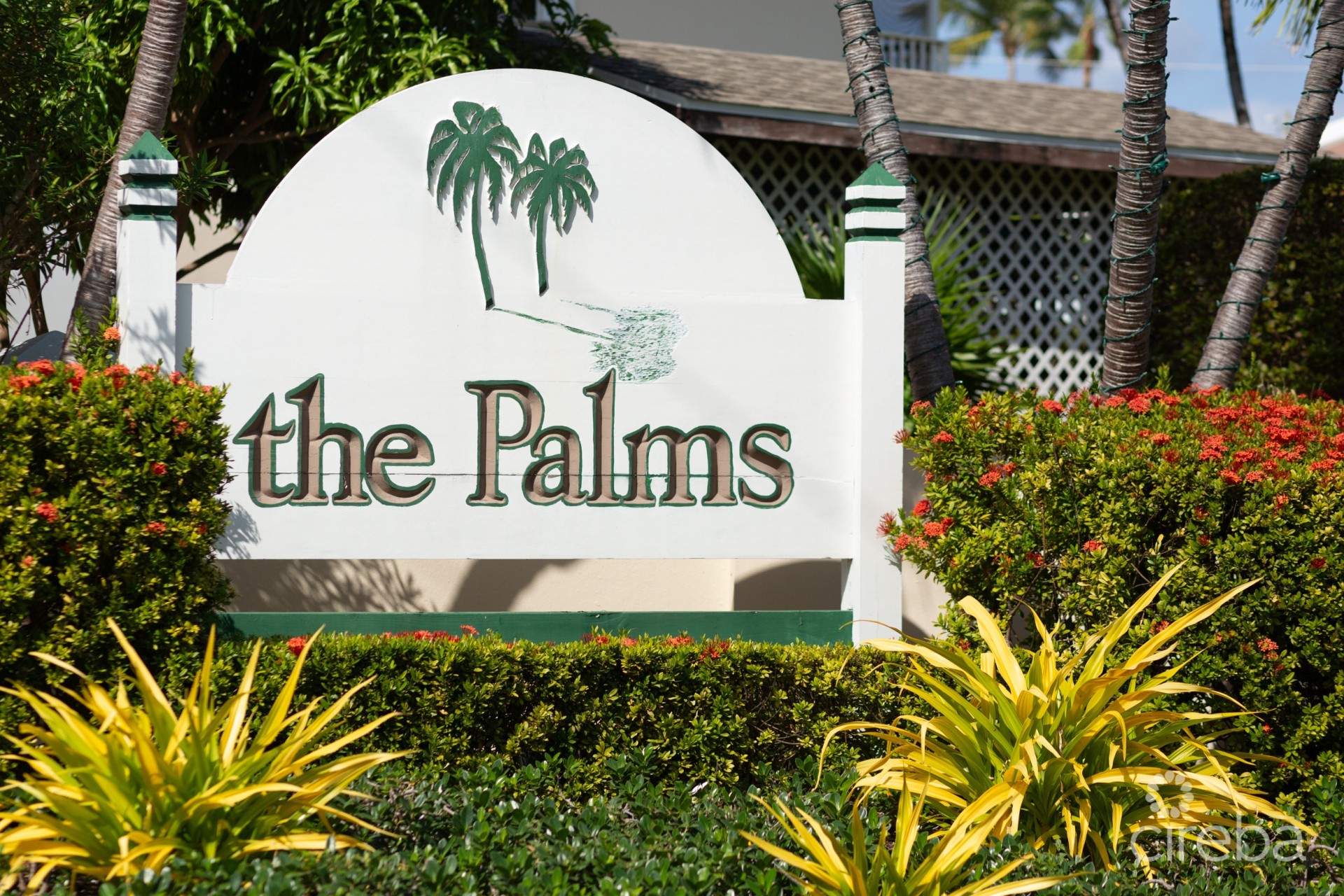 THE PALMS 14, SEVEN MILE BEACH PENTHOUSE THE PALMS 14, SEVEN MILE BEACH PENTHOUSE