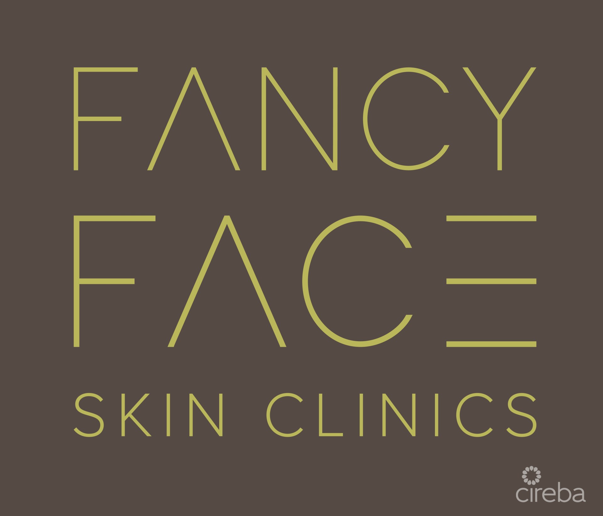 FANCY FACE SKIN CLINIC- BRAND, ASSETS & EQUIPMENT