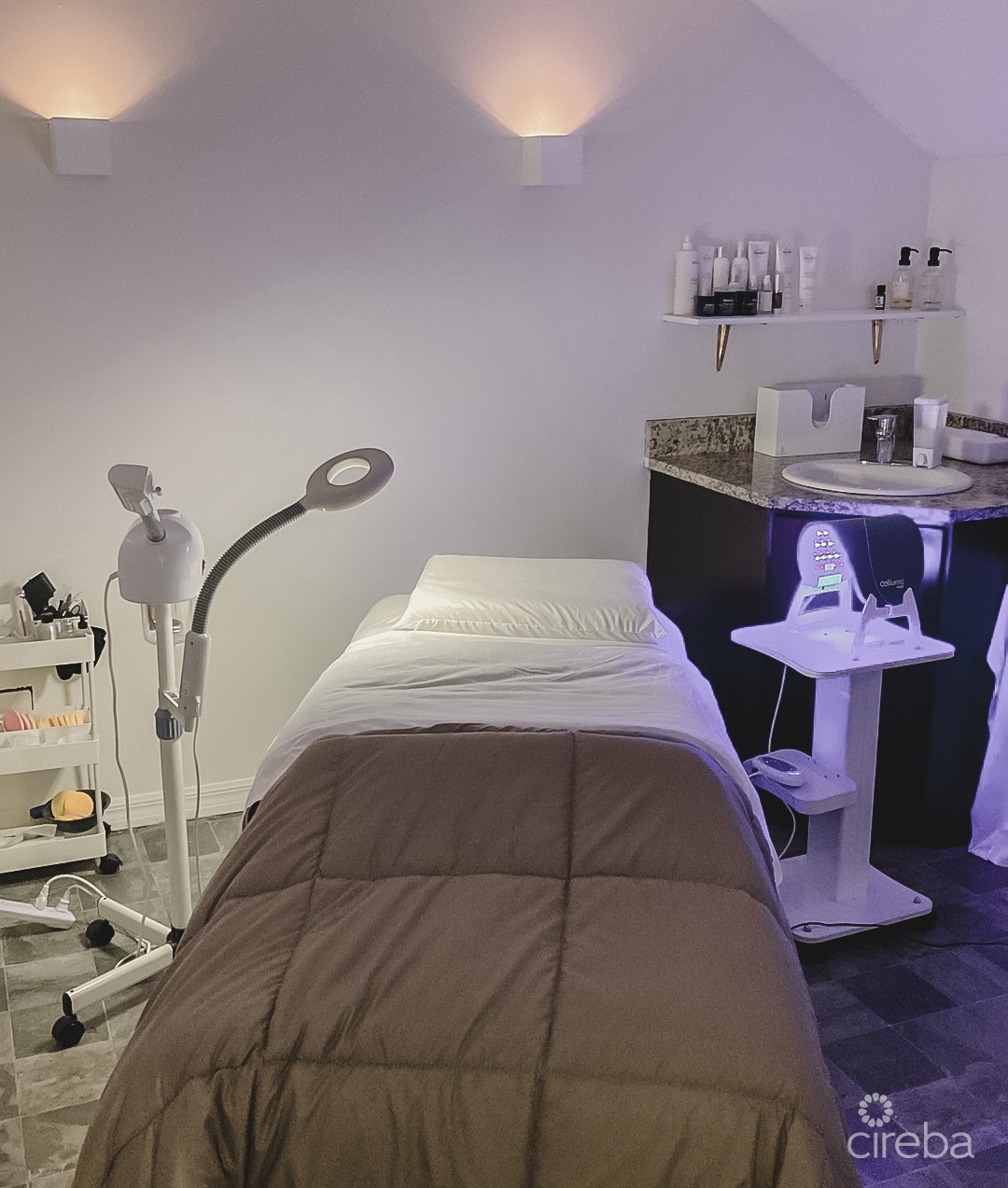 FANCY FACE SKIN CLINIC- BRAND, ASSETS & EQUIPMENT