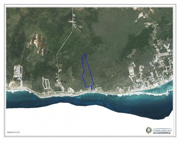 THE BLOW HOLES LOT #16