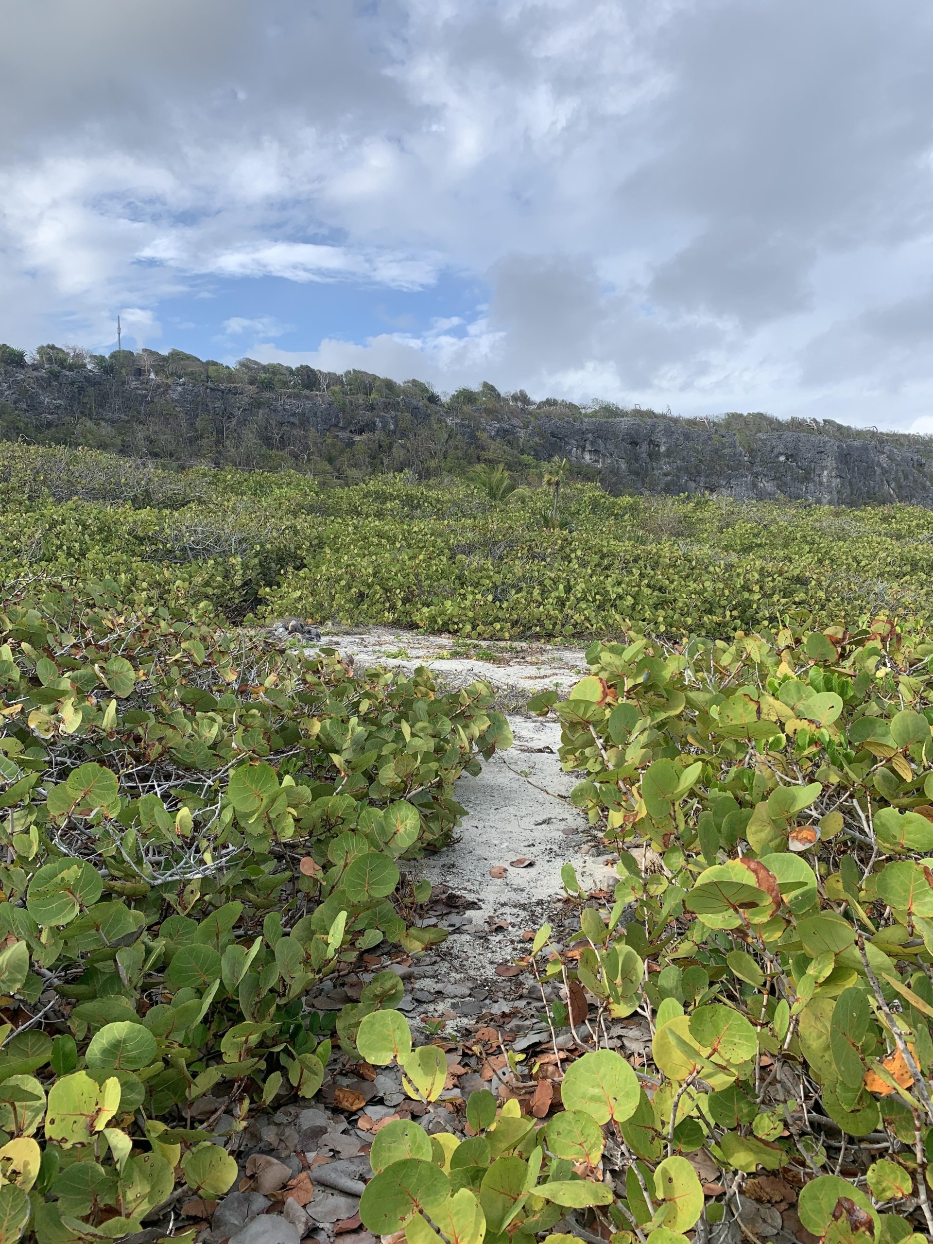 SOUTH SIDE OCEAN FRONT LAND