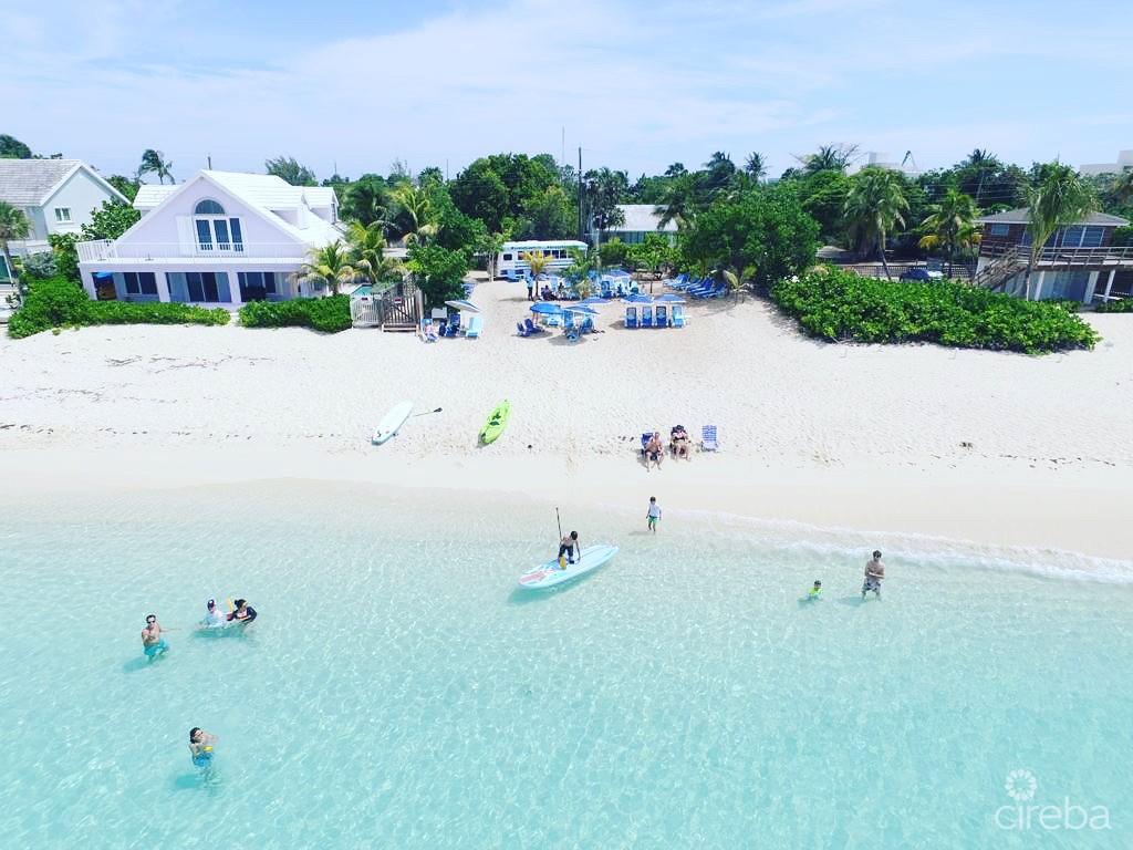 BOGGY SANDS CLUB TURTLE 2