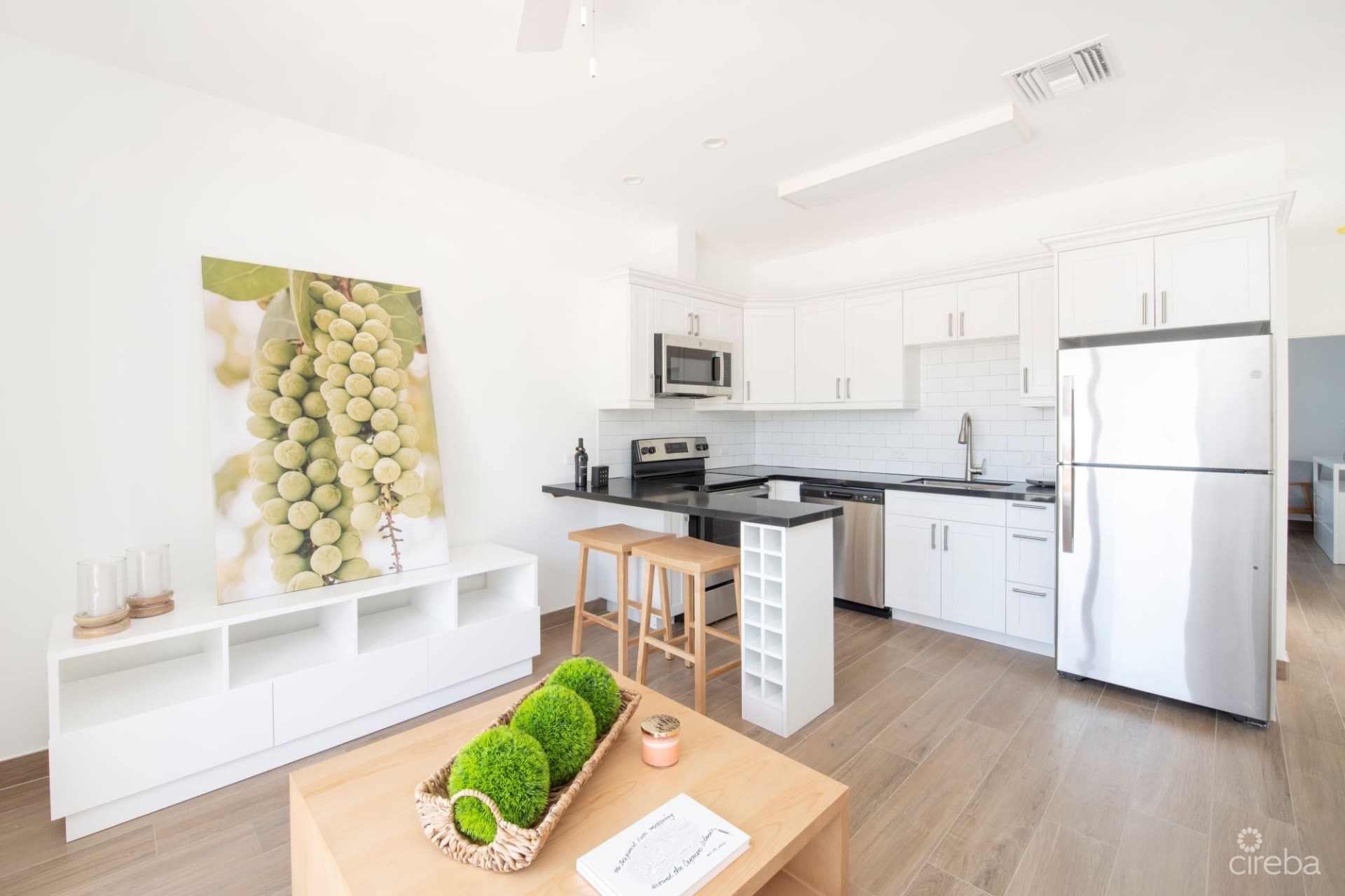 SEA MIST CONDOS  UNIT102 - DEVELOPER FINANCING