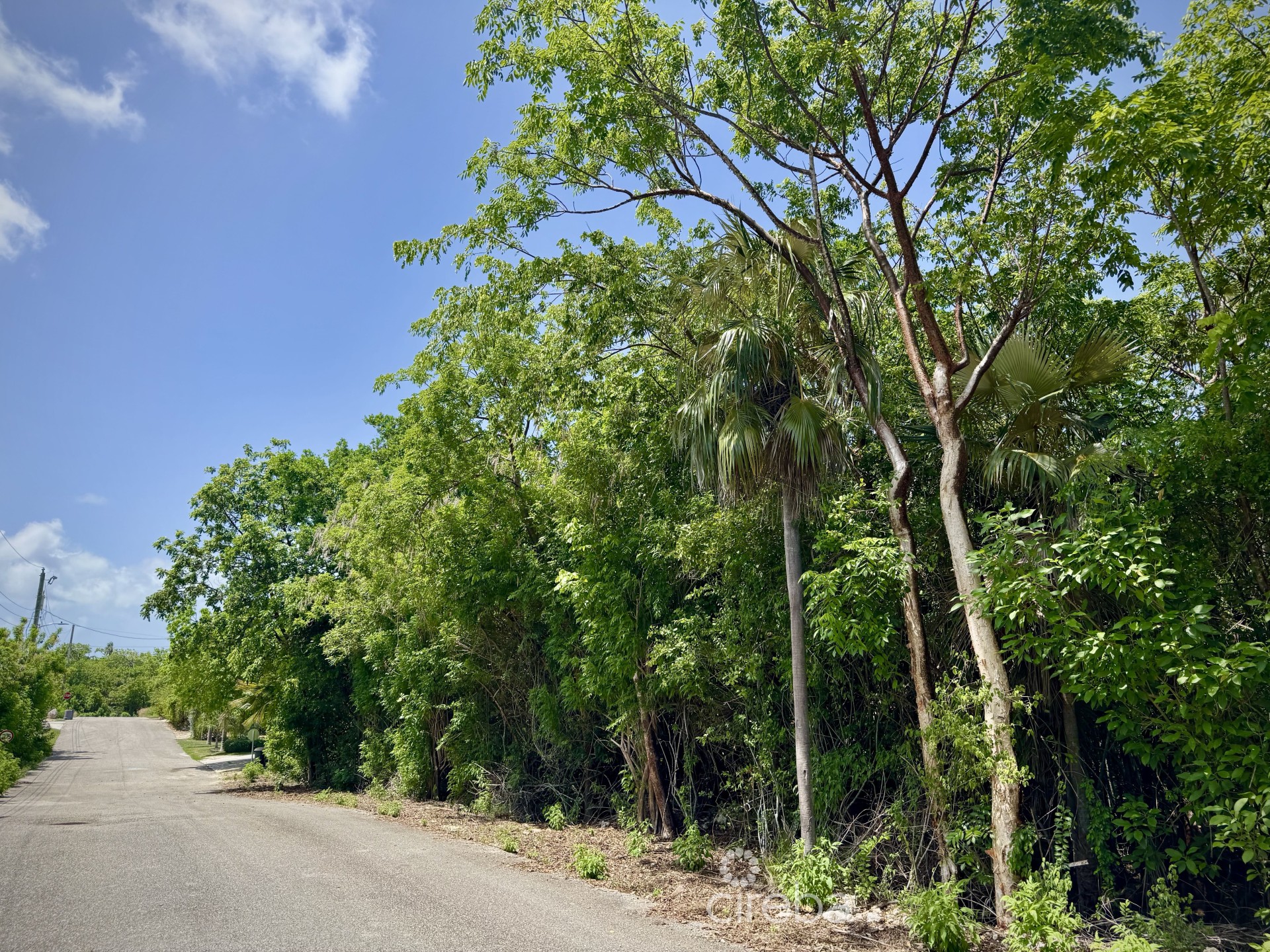 BEACH BAY - OVERSIZED LOT