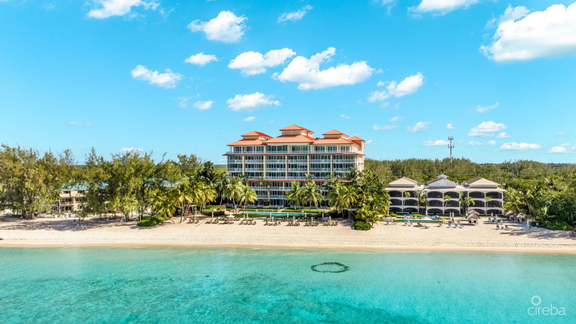 RENAISSANCE PENTHOUSE  SEVEN MILE BEACH