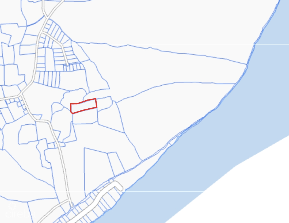 CAYMAN BRAC BLUFF LAND - ADJUSTED PRICE