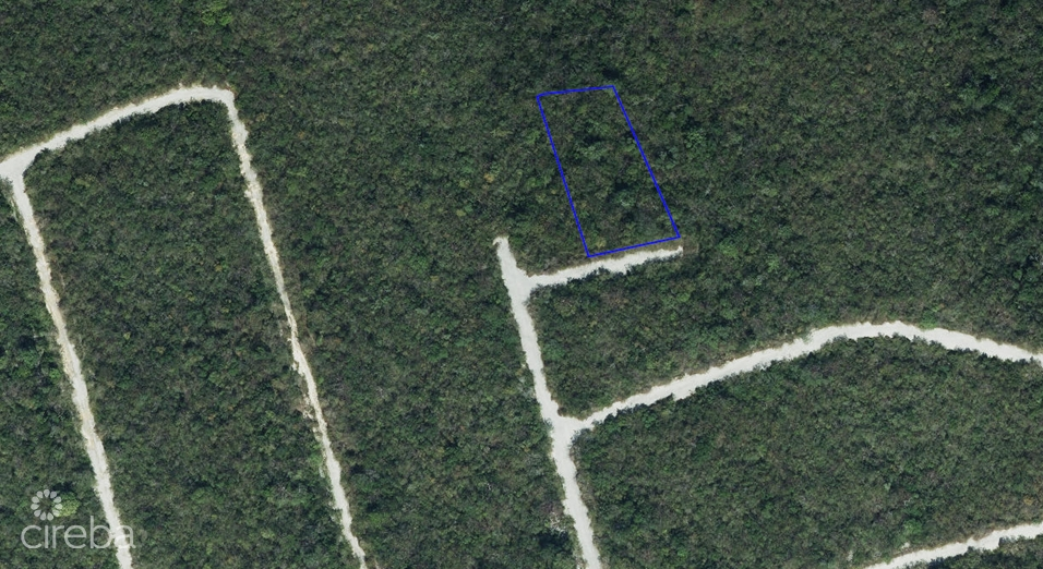 SELWORTHY GROVE    CAYMAN BRAC (LARGE  .37 ACRE LOT)