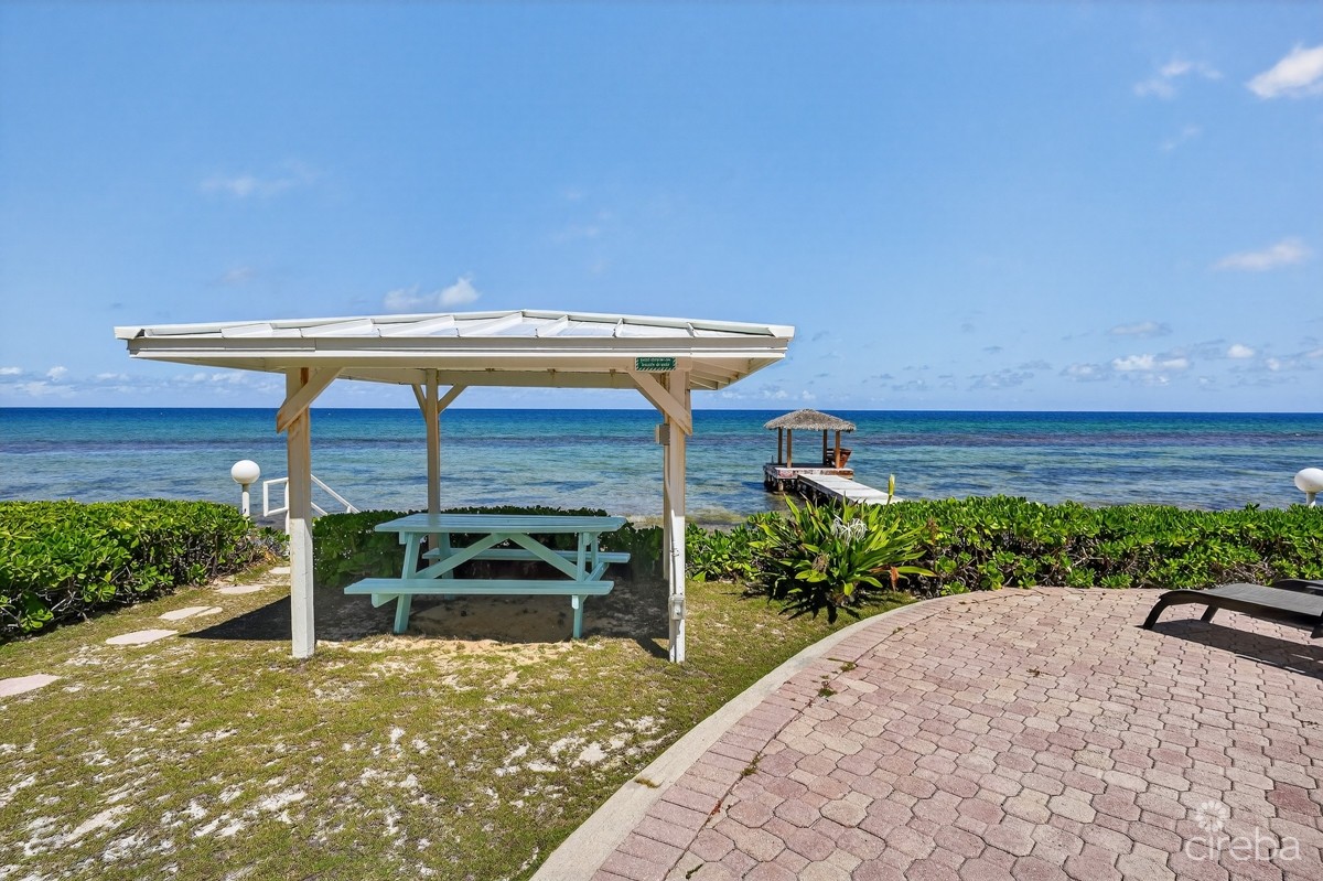 NORTHERN LIGHTS - END UNIT