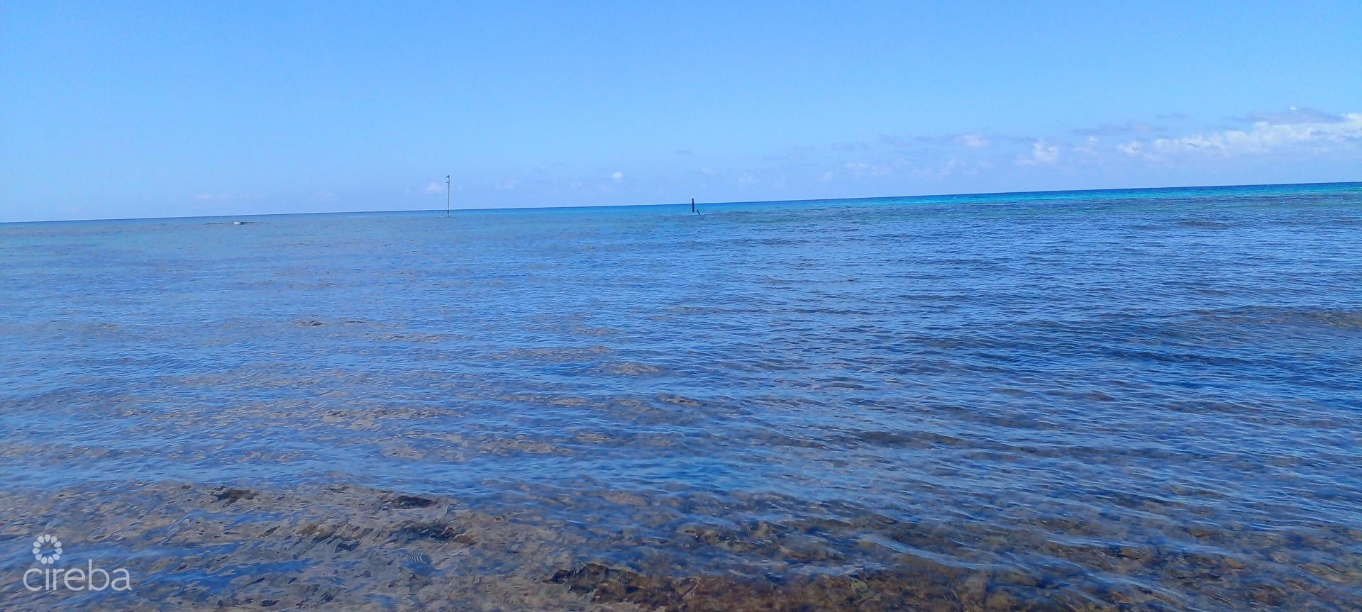 VIDA VISTAS