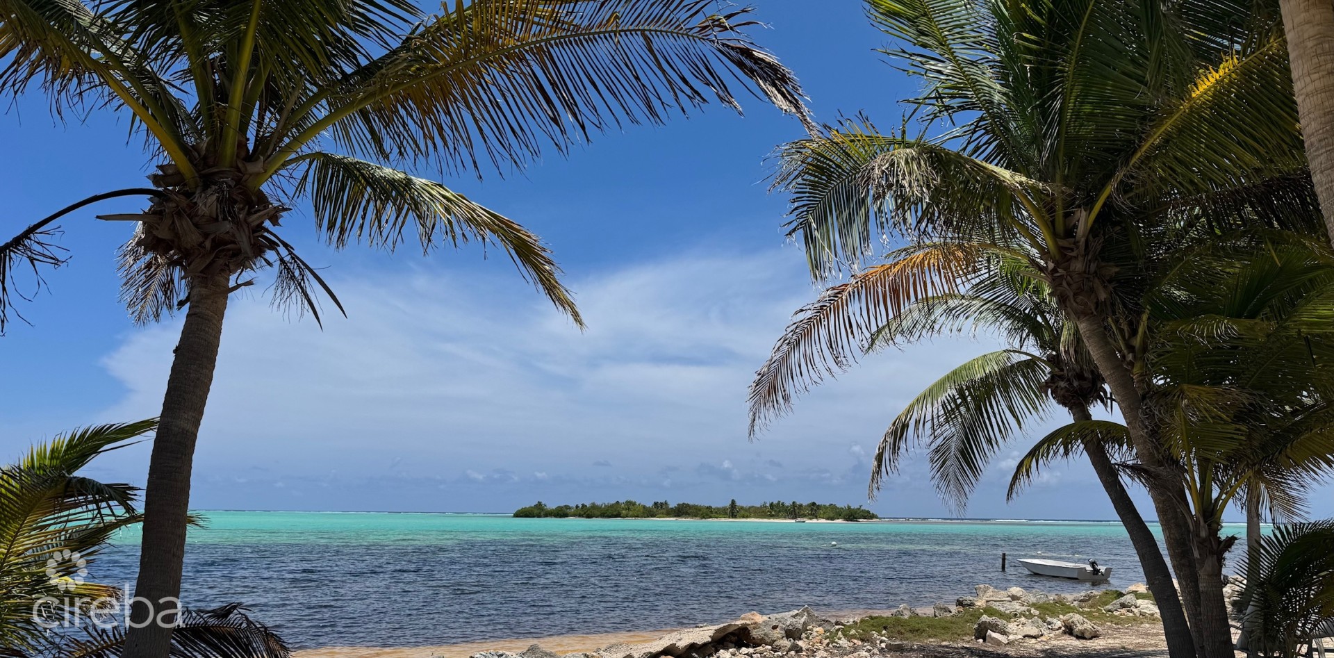 OWEN ISLAND VIEW