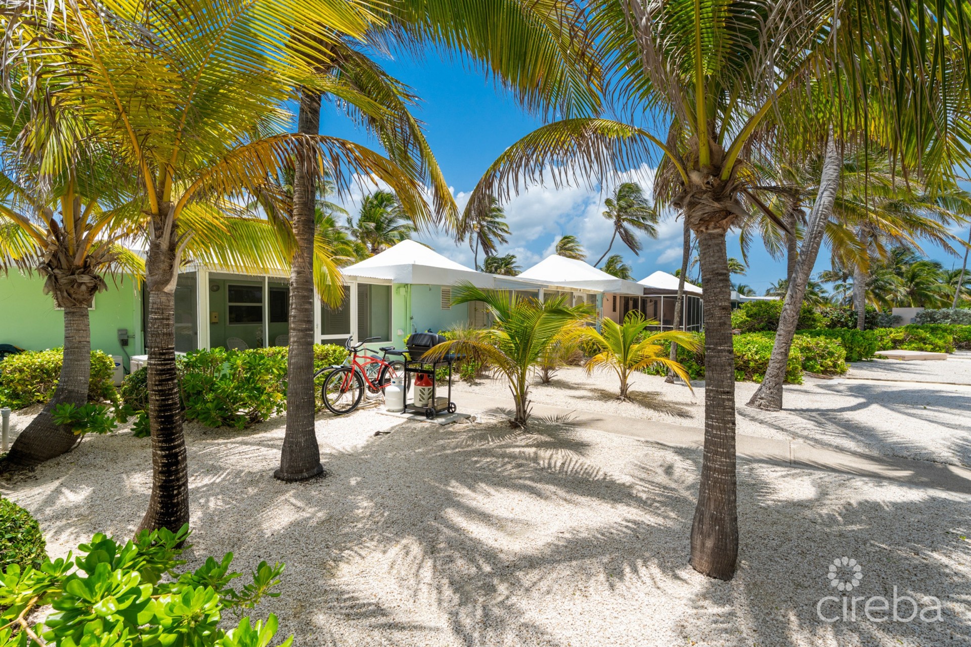CAYMAN KAI SEA LODGE #13 BEACHFRONT CONDO WITH IMPRESSIVE RENTAL HISTORY
