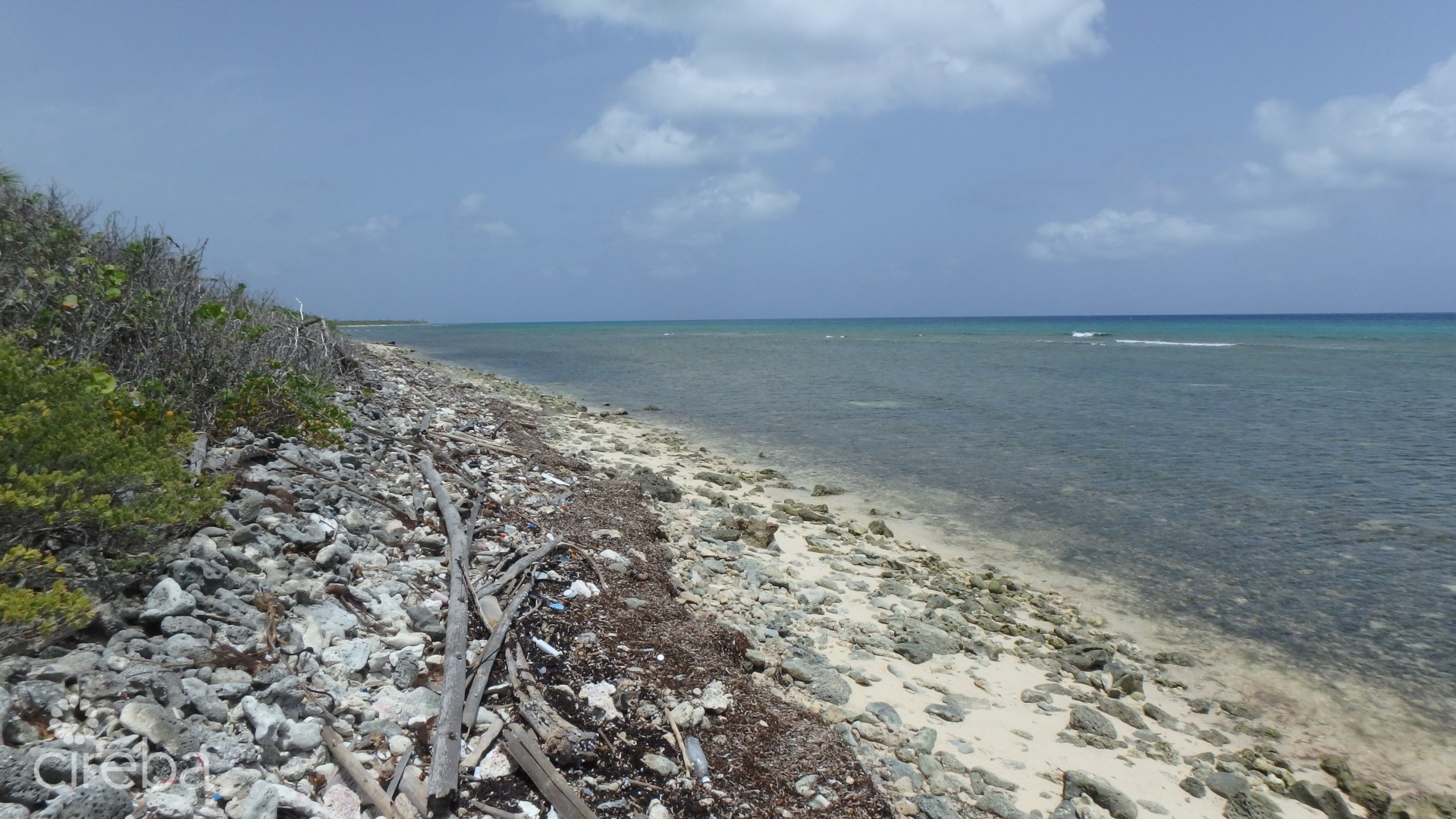 LITTLE CAYMAN NORTH SIDE OCEAN FRONT LAND