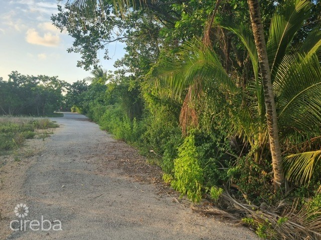 BRAC HOUSE LOT ON HAROLD DRIVE