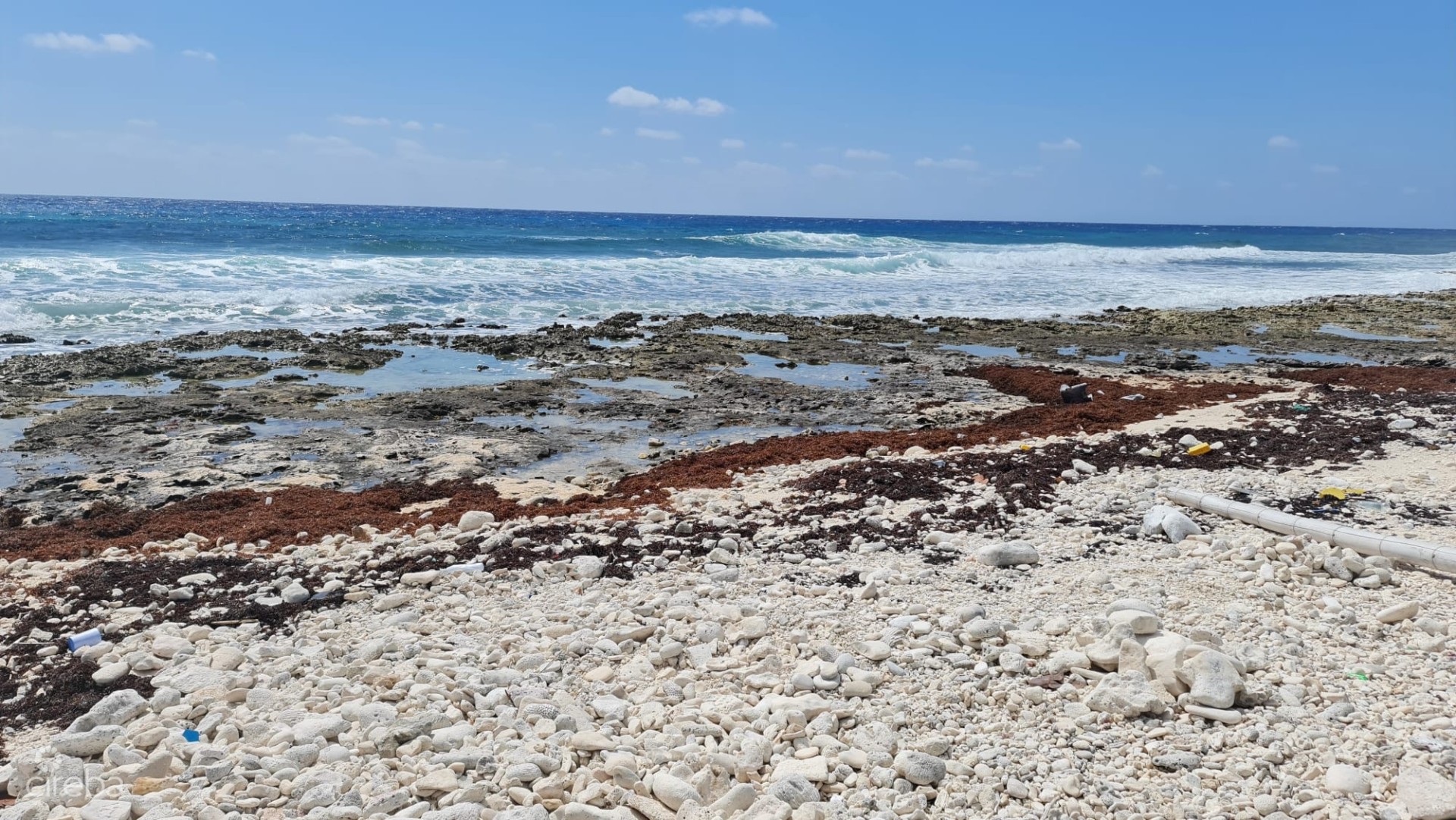 CAYMAN BRAC EAST OCEANFRONT 1.25 ACRES