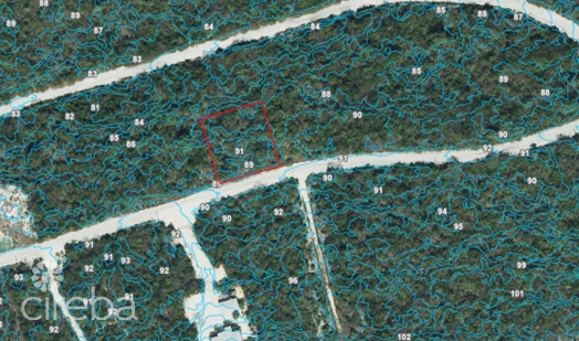 CAYMAN BRAC BLUFF LOT (0.2874 ACRE)