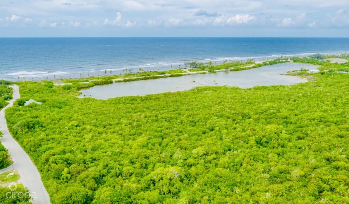 ALEXANDER GROVE SUBDIVISION - CAYMAN BRAC - POND LOT 2