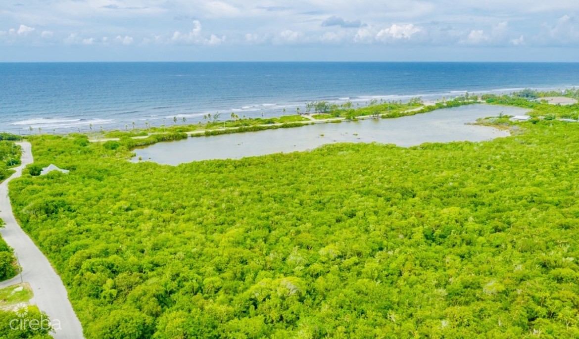 ALEXANDER GROVE SUBDIVISION - CAYMAN BRAC - LOT1