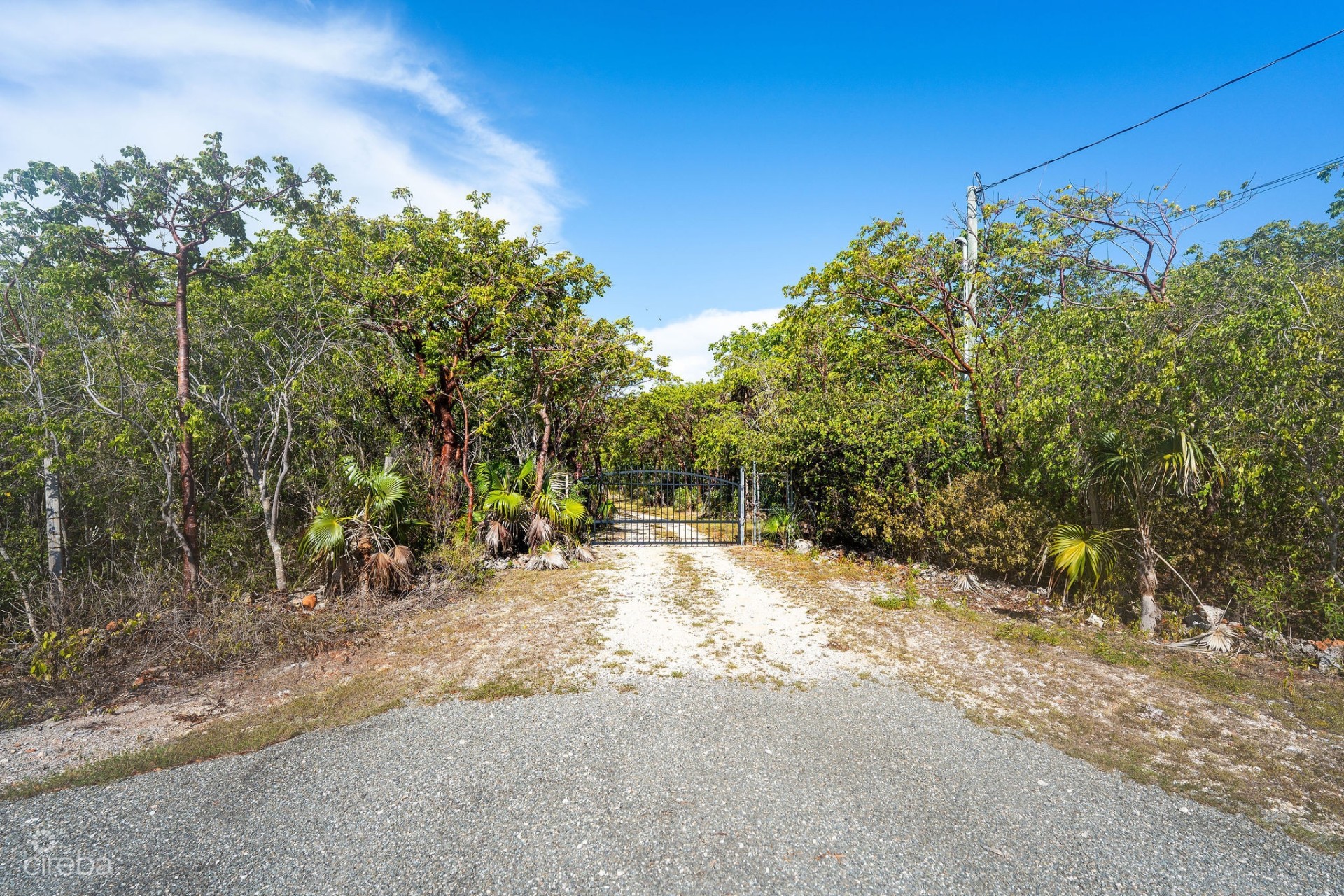 CAYMAN ENCHANTED FOREST | 9.93-ACRE PARCEL IN EAST END