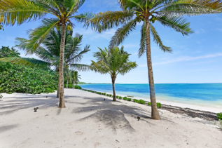 Savannah, Lower Valley, Newlands and Bodden Town