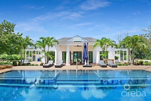 LIV CAYMAN LIV CAYMAN