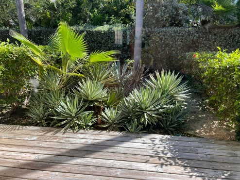 #17 Southampton Gardens