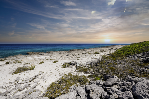Little Cayman Little Cayman